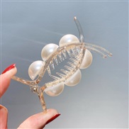 ( champagne) hair clip Korea all-Purpose Acrylic embed Pearl temperament head hair clip