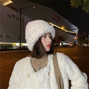 ( while )Winter hat Korean style pure color velvet thick wind lady samll knitting