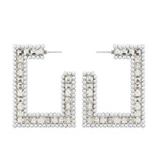 ( Silver)earrings bri...