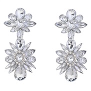 ( Silver)earrings occ...