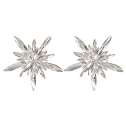 ( white)earrings occi...