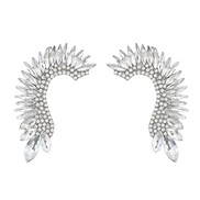 ( Silver)earrings fas...