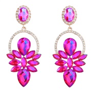 ( rose Red)earrings f...