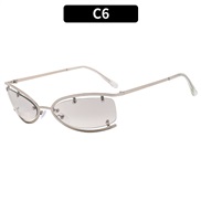 (C  silver frame  Lig...