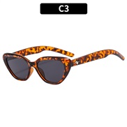 (C  leopard print gra...