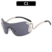 (C  silver frame  gra...