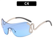 (C  silver frame  blu...