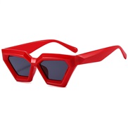 (C  red  gray  Lens )...