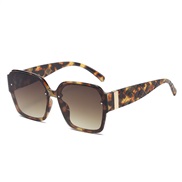 ( leopard print frame...