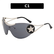 ( gray )Y sunglass ho...