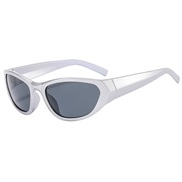 (C silver frame  gray...