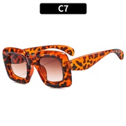 (C  leopard print fra...