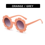 (C  frame  gray  Lens...