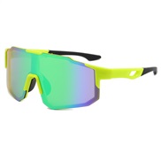 ( frame ) sport sungl...