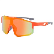 ( frame ) sport sungl...