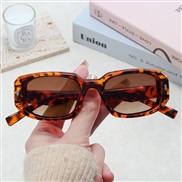 ( leopard print frame...