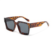 ( leopard print frame...