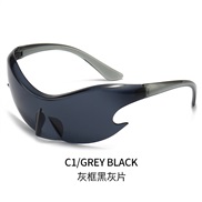 ( Black grey  Lens )o...