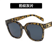 ( leopard print frame...