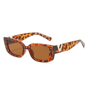 ( leopard print frame...