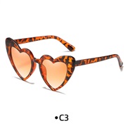 ( leopard print frame...