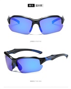 ( polarized light blu...