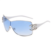 (  silver frame  blue...