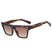 ( leopard print frame...