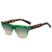 ( frame  Lens  leopar...