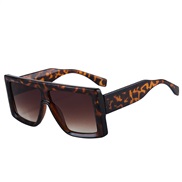 ( leopard print frame...