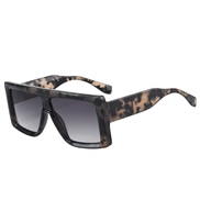 ( leopard print frame...