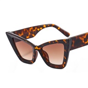 (C  leopard print fra...