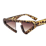 (C  leopard print fra...