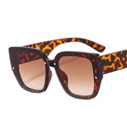 (C  leopard print fra...