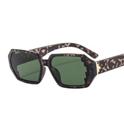 (C  leopard print fra...