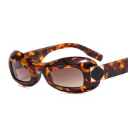 (C  leopard print fra...