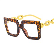 (C  leopard print fra...