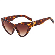 (C  leopard print fra...