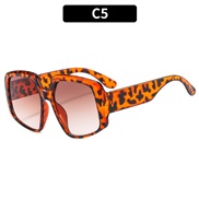 (C  leopard print fra...