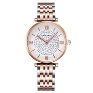 fashion lady watch wo...