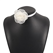 ( white) romantic bow...