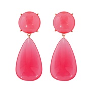 ( Pink)Autumn and Winter occidental style earrings resin Earring woman drop color earring retro