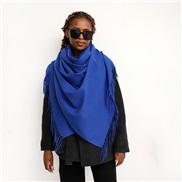 (70*210cm)(LM   sapphire blue )pure color imitate sheep velvet scarf woman Winter occidental style color color warm Col