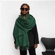 (70*210cm)(LM  )pure color imitate sheep velvet scarf woman Winter occidental style color color warm Collar long style 