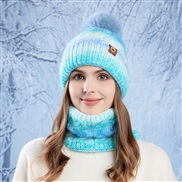 (  blue)Winter warm h...